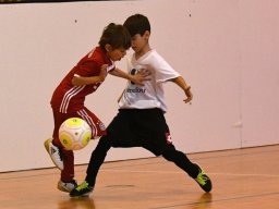 mini-2017-01-29-DSC_4203
